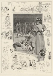 The Kennel Club